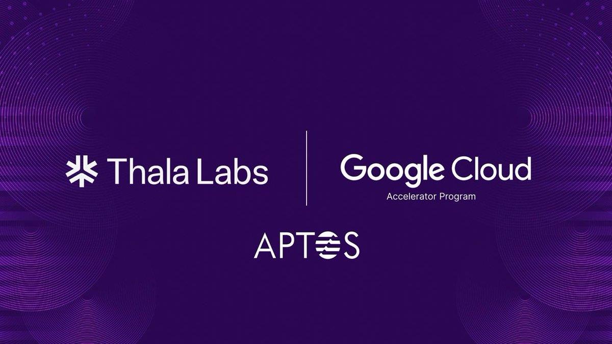 What is Thala Labs?  Things to know about the Thala Labs . project