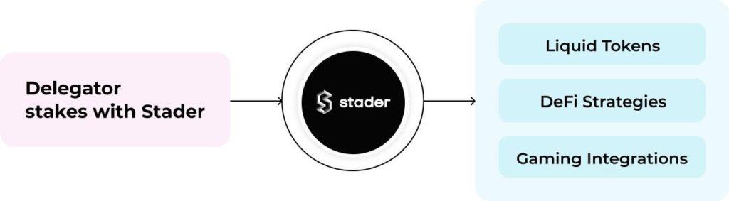 O que é Stader?  Tudo sobre tokens Stader e SD
