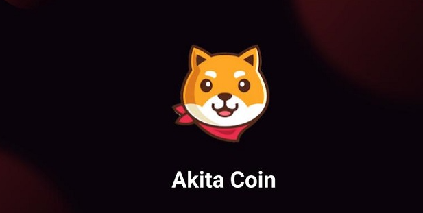 Wat is AKITA?  Gedetailleerd overzicht van Akita Inu en AKITA tokens