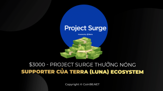 3000 $ - Project Surge heißer Bonus Unterstützer des Ökosystems Terra (LUNA).