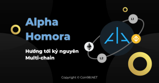 Alpha Homora - Menuju Era Multi-Rantai