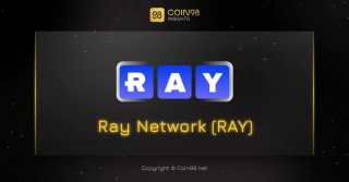 ما هي شبكة راي (XRAY)؟ مجموعة كاملة من العملات المشفرة XRAY