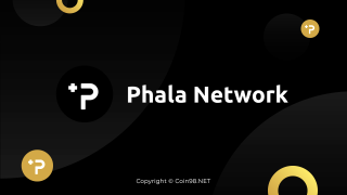 ما هي شبكة فالا (شبكة الخالة)؟ مجموعة كاملة من العملات المشفرة PHA و K-PHA