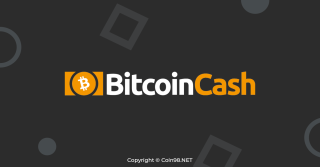 ¿Qué es Bitcoin Cash (BCH)? Conjunto completo de criptomonedas BCH