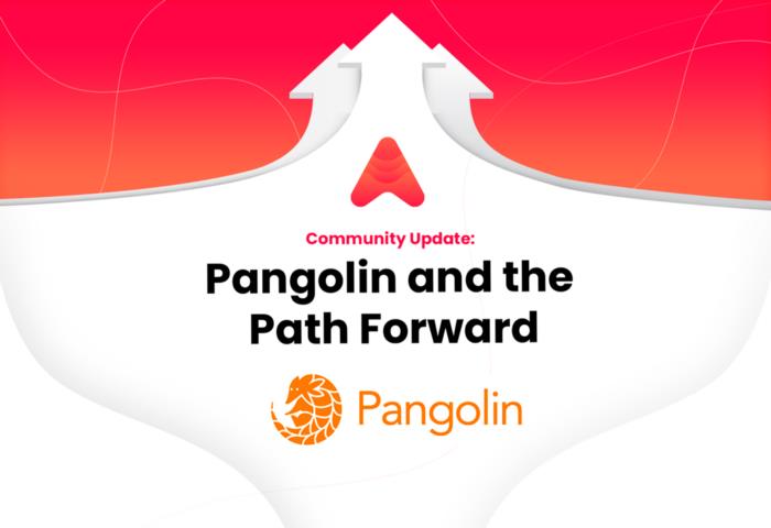Çığ nedir?  Pangolin'de Çığ Ekosistemi Başlatma Paneli ve Token Satışı