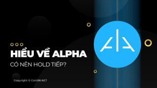 アルファを理解する-私は保持する必要がありますか？