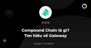 Cosè la catena composta? Conosci Gateway, il primo progetto su Compound Chain