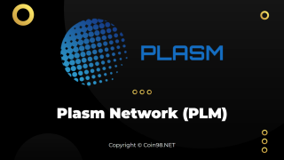 ما هي شبكة البلازما (PLM)؟ PLM. اكتملت العملة المشفرة