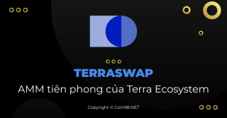 Terraswap - Terra 生態系統的先驅 AMM