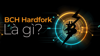 Hard Fork Bitcoin Cash - Effet de la guerre du hachage