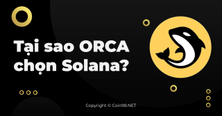 Por que a Orca escolheu Solana?