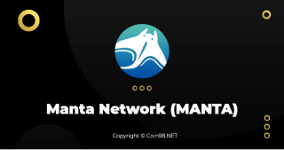 O que é a Rede Manta e a Rede Calamari? Criptomoeda completa MANTA, KMA
