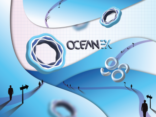OceanEx nedir? Adan Zye OceanEx için eksiksiz bir rehber