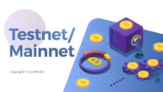 Che cosè Mainnet e Testnet? 03 Passaggi di base durante la creazione di Testnet