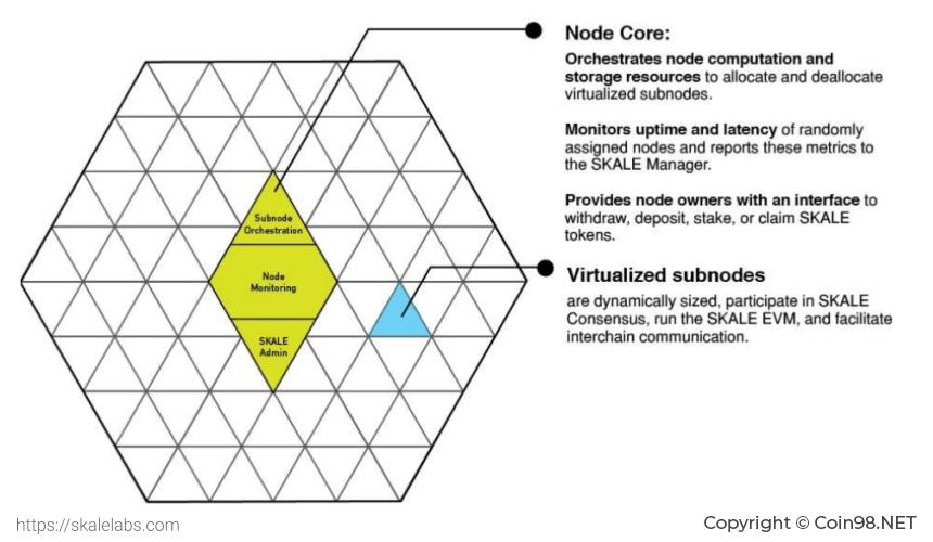 Skale 네트워크(SKALE)란 무엇입니까?  SKALE 전자화폐 완성