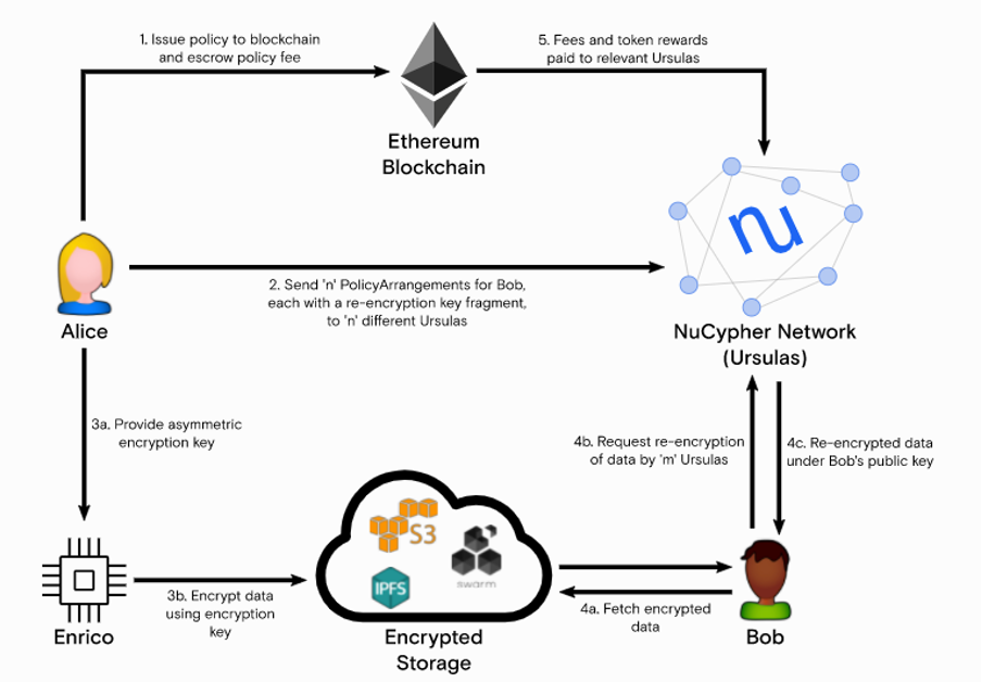 NuCypher (NU) nedir?  NuCypher hakkında tüm bilgiler