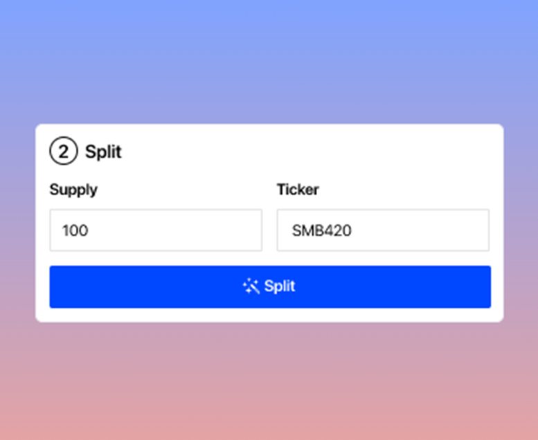 โครงการ Bridgesplit คืออะไร?  ชุดรายละเอียดเกี่ยวกับโครงการ