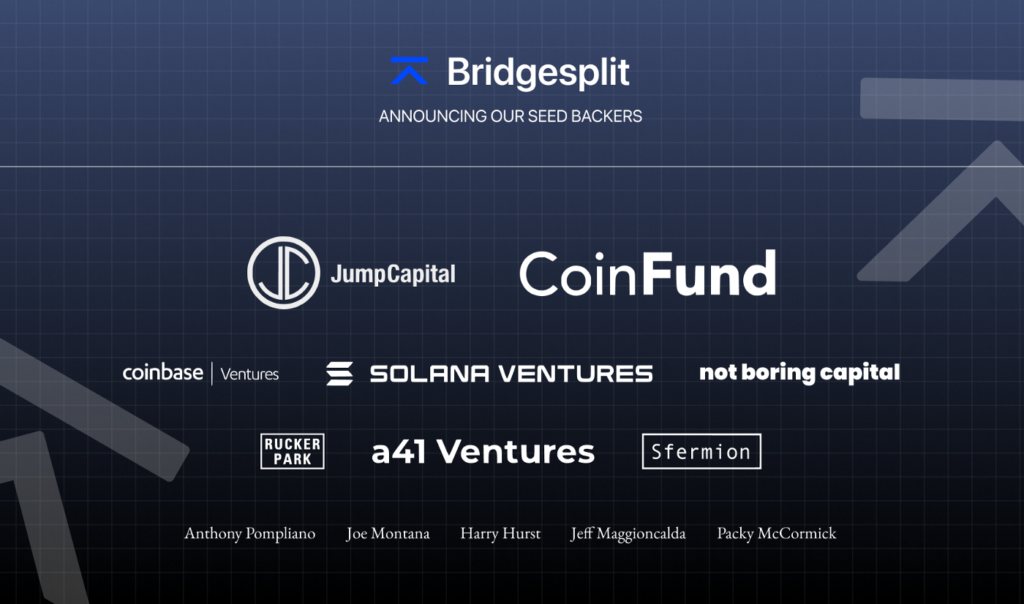 Bridgesplit Projesi nedir?  Projeyle ilgili eksiksiz ayrıntılar seti