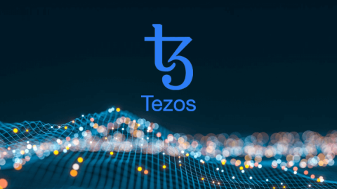 Tezo nedir? Tezos projesi ve XTZ belirteci hakkında her şey