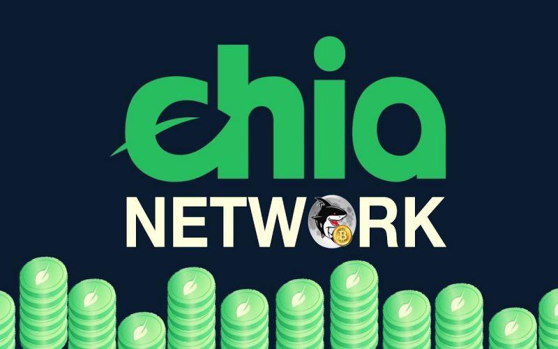 Chia Network (XCH) คืออะไร?  ทุกสิ่งที่คุณต้องรู้เกี่ยวกับโทเค็น XCH