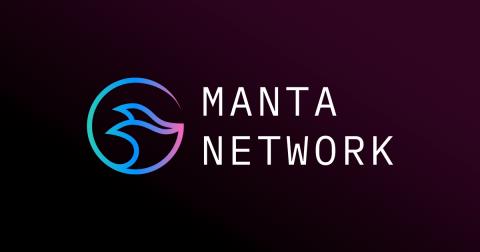 Learn about the Manta Network project - a interesting Layer 1 blockchain platform