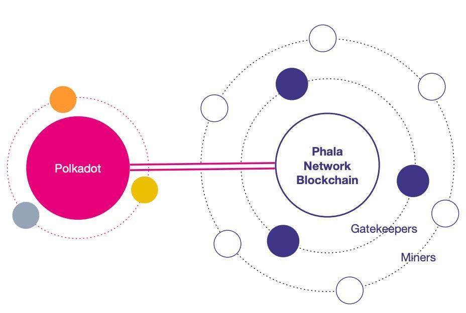 ما هي شبكة فالا؟  معلومات حول شبكة Phala و PHA المسكوكة