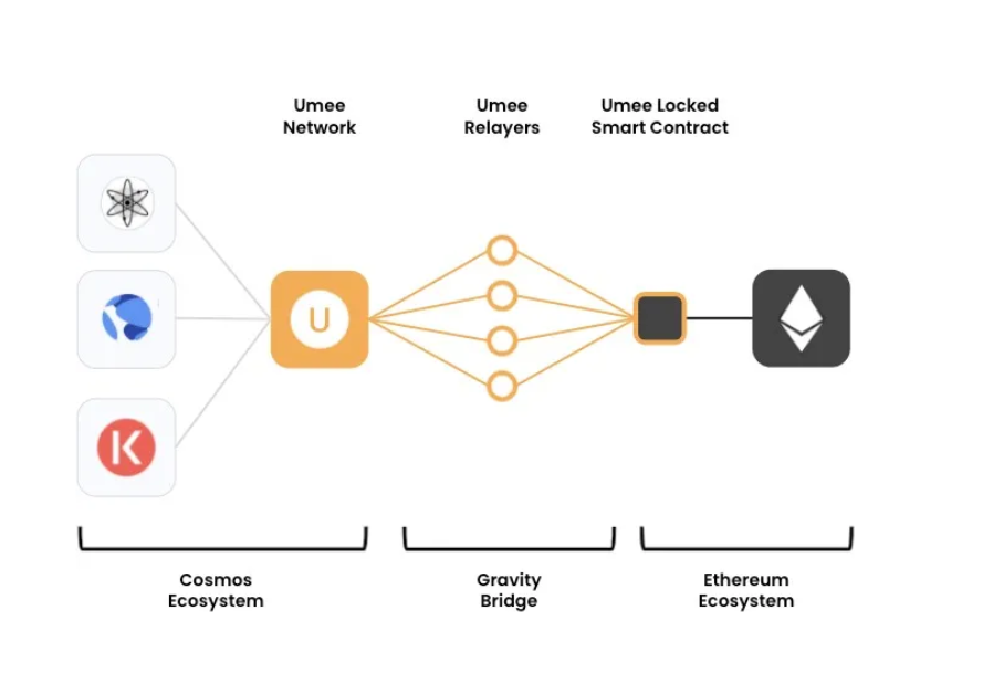 Что такое Уми?  Вся информация о Umee и токене UMEE