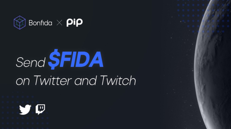 What is a PIP project?  Detailed introduction of the PIP . token