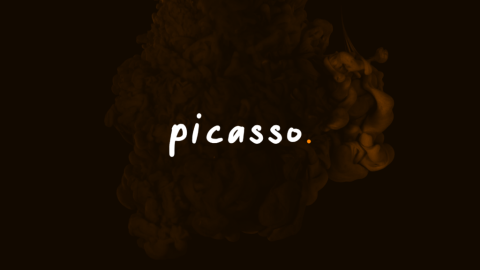Coisas que você precisa saber sobre a Rede Picasso