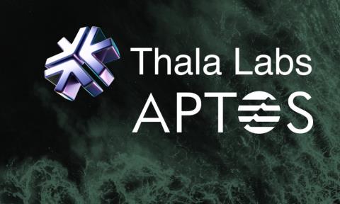 What is Thala Labs? Things to know about the Thala Labs . project