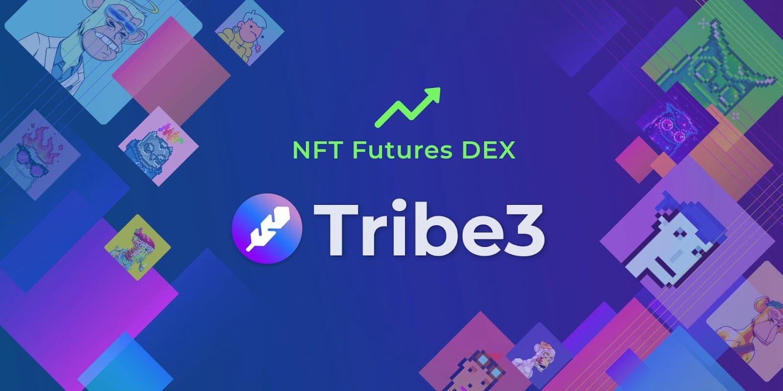 An overview of the NFT Tribe3 . platform