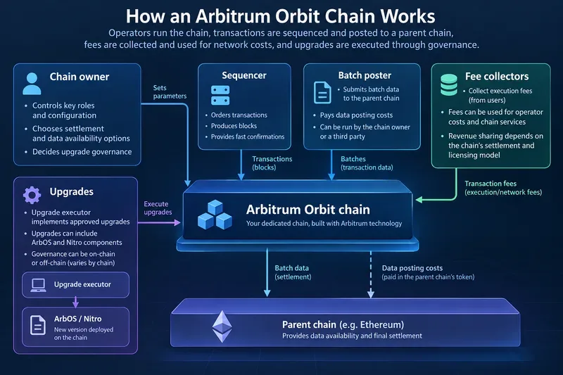 Arbitrum Orbit explained: who runs the chain, where fees go and how upgrades work